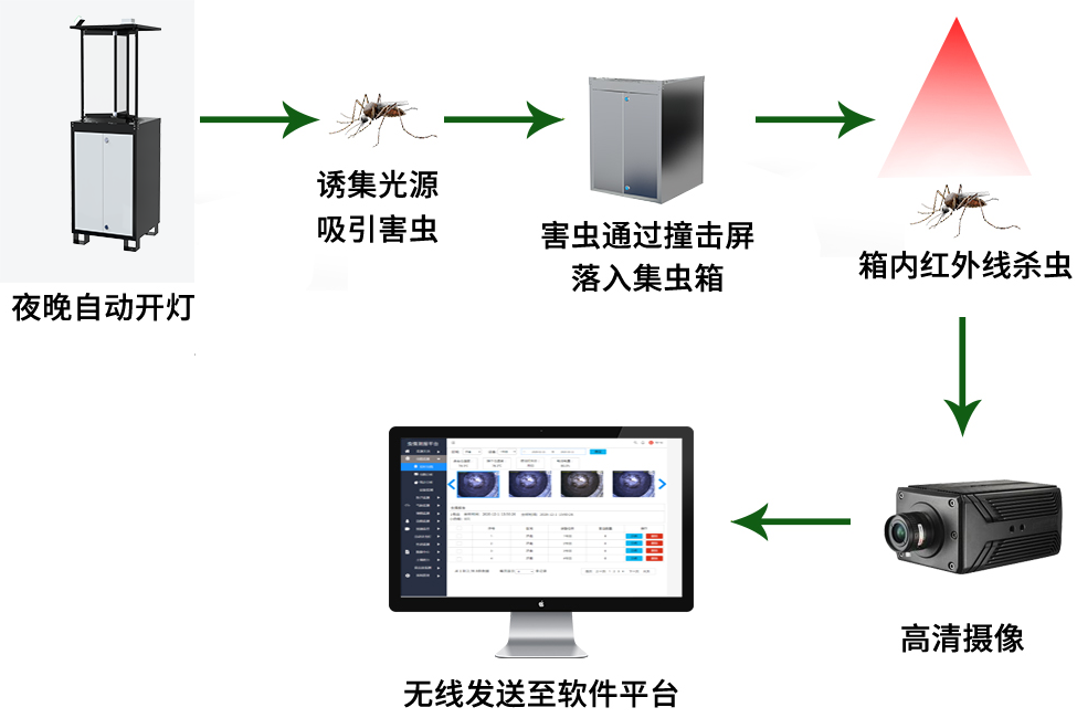 太陽能蟲情測報燈 太陽能蟲情測報燈